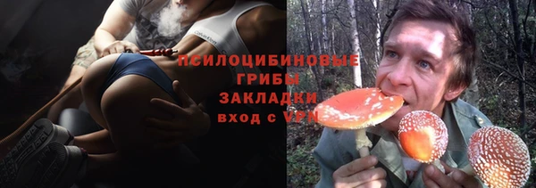 прущая мука Нея