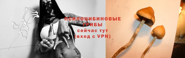 прущая мука Нея