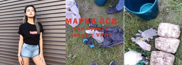 прущая мука Гусев