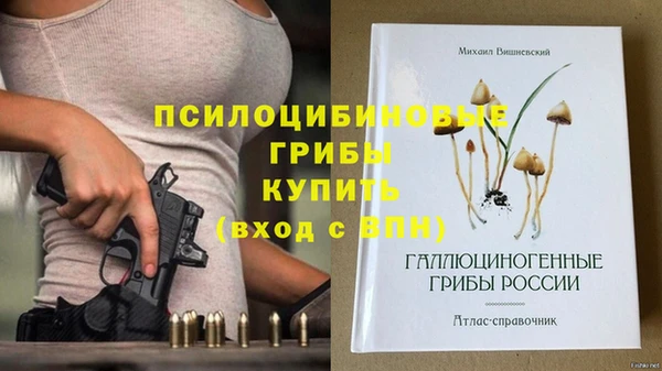 прущая мука Нея