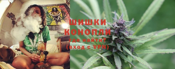прущая мука Нея