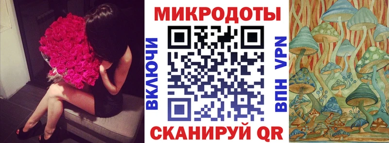 Псилоцибиновые грибы Cubensis  Адыгейск 